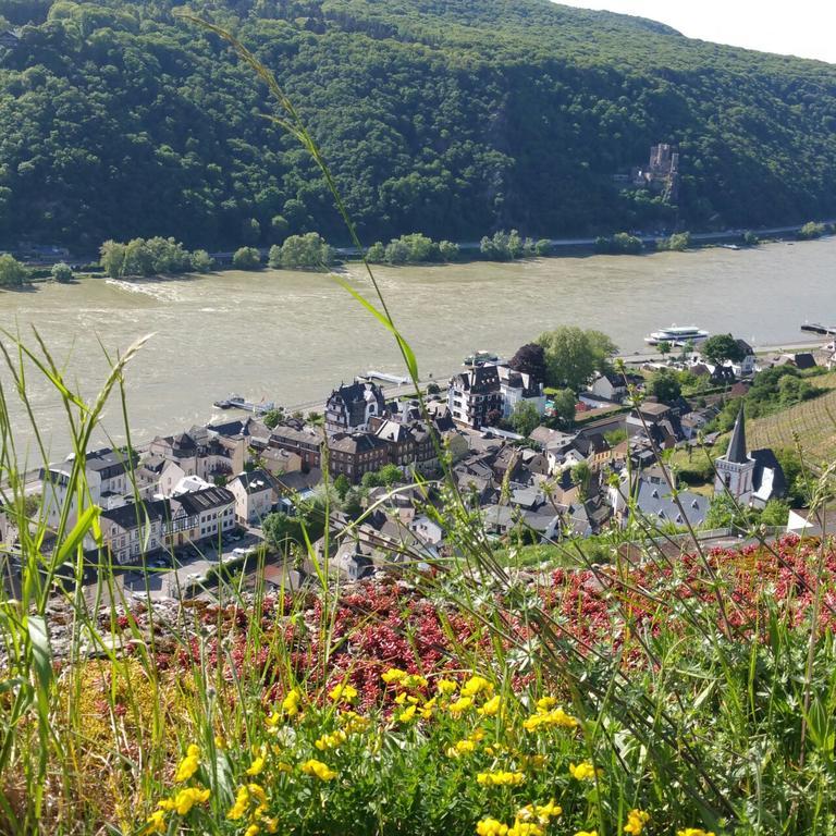 Eismauer Suite Rüdesheim am Rhein Εξωτερικό φωτογραφία